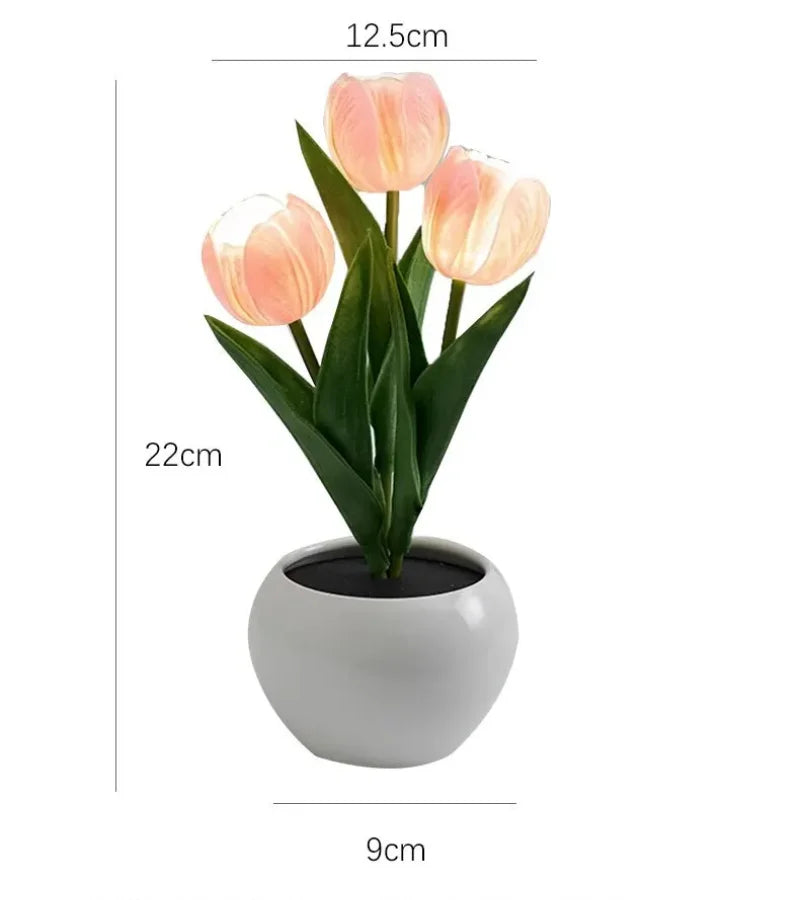 Tulip night light