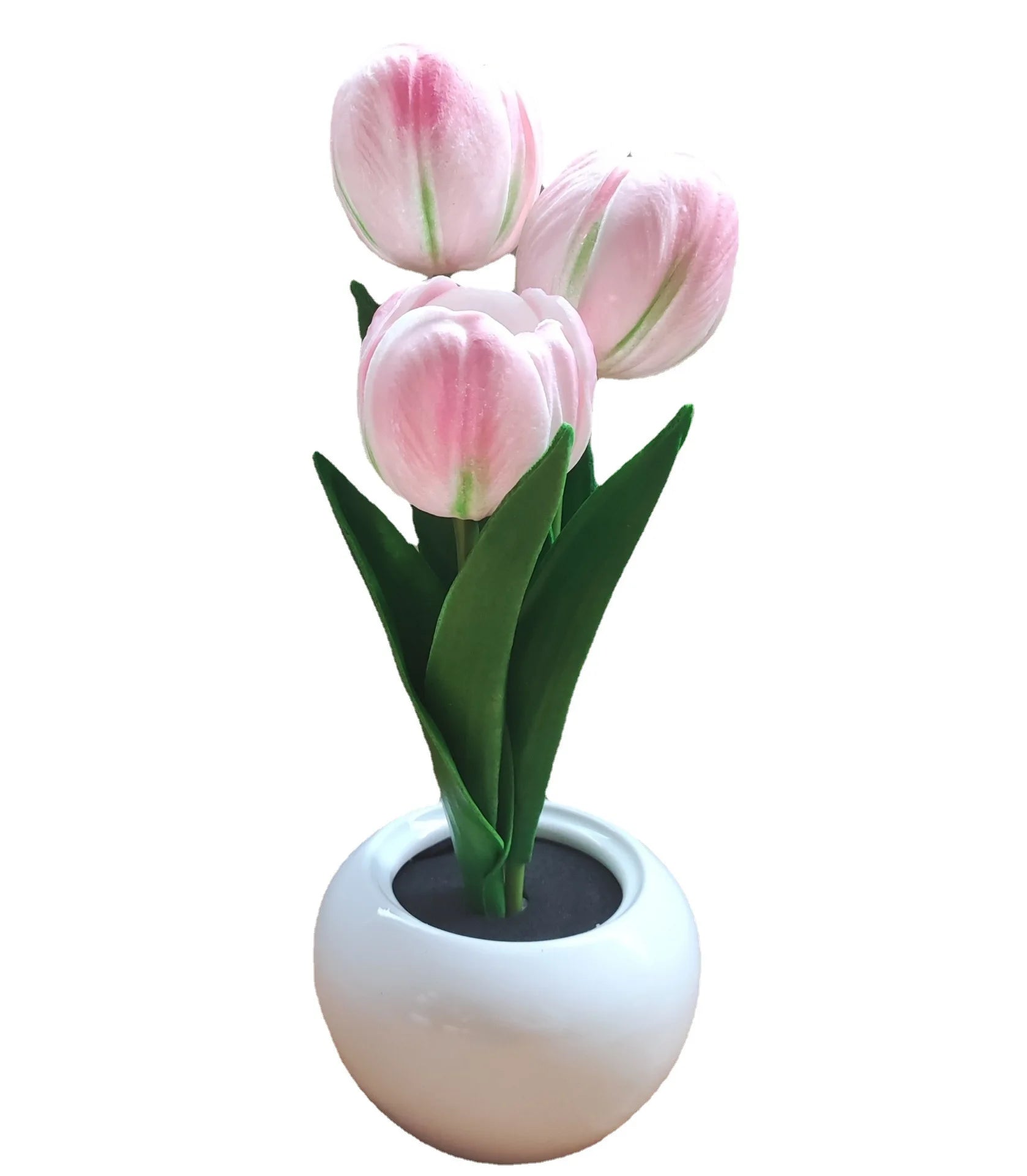 Tulip night light